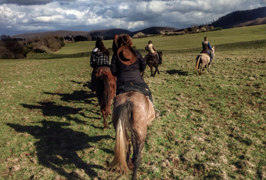 Passeggiate, trekking e transumanze